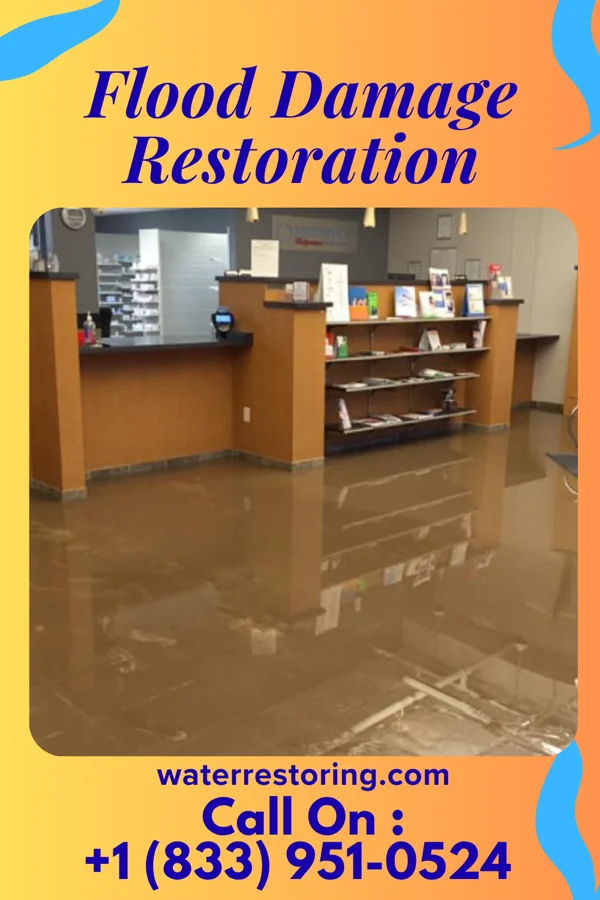 Flood Damage Restoration in Spring Mill, KY